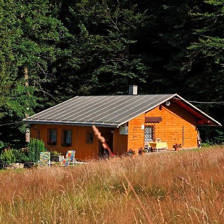 Haus An Der Bergwiese Вальдкирхен Экстерьер фото
